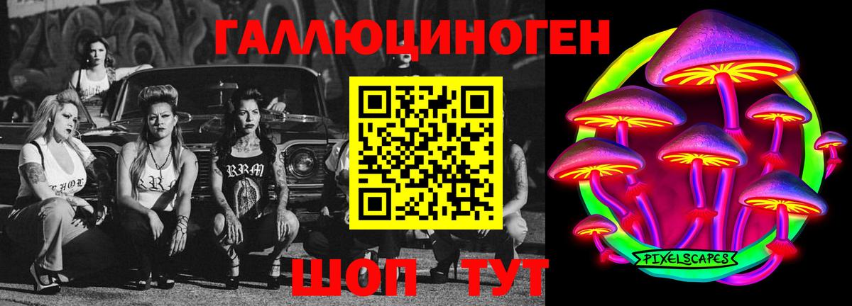 Советск  Галлюциногенные грибы Psilocybe  Вход с VPN 